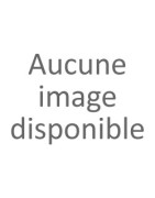 Vibromasseur pour couples UD